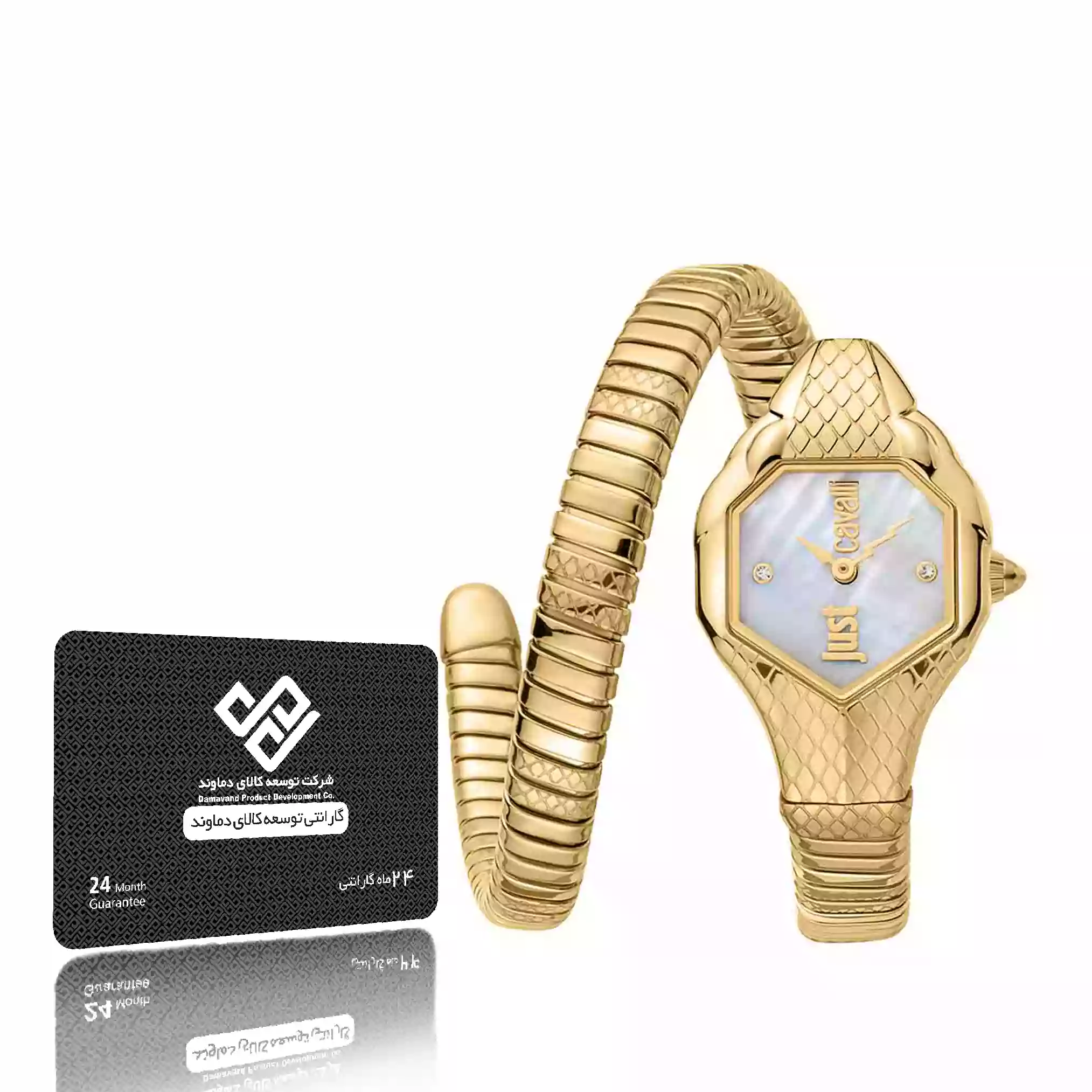 ساعت مچی عقربه ایی زنانه جاست کاوالی مدل JC1L190M0035