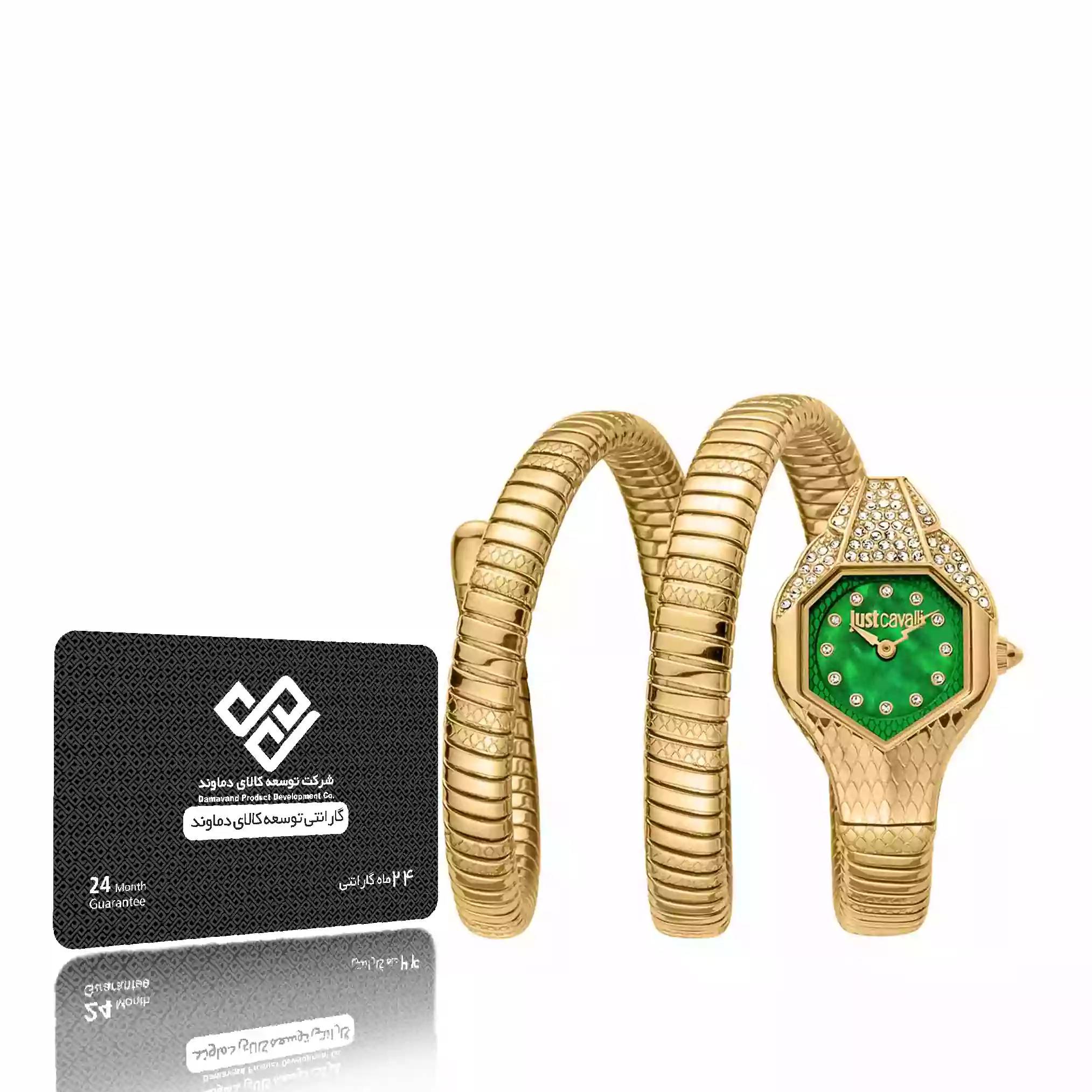 ساعت مچی عقربه ایی زنانه جاست کاوالی مدل JC1L193M0035